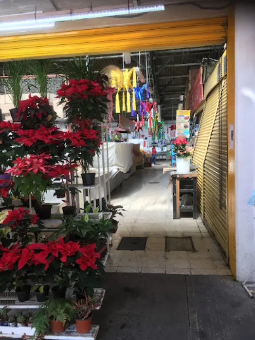 Sucursal Cuauhtémoc – Plomería Meraki