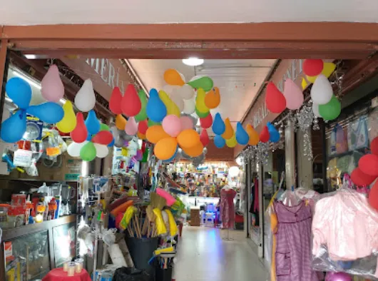 Sucursal Narvarte Poniente – Plomería Meraki